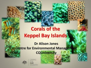 Corals of the
Keppel Bay Islands
Dr Alison Jones
Centre for Environmental Management
CQUniversity
 