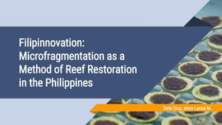 Filipinnovation:
Microfragmentation as a
Method of Reef Restoration
in the Philippines
Dela Cruz, Mary Lance M.
 