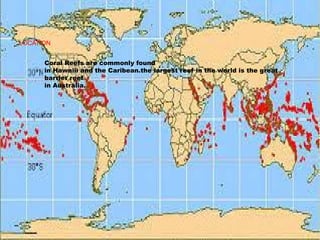 LOCATION
Coral Reefs are commonly found
in Hawaiii and the Caribean.the largest reef in the world is the great
barrier ree...