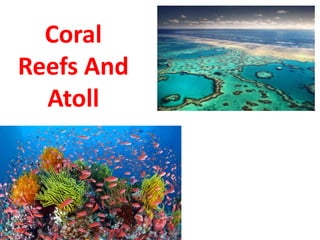 Coral
Reefs And
Atoll
For IAS Exam,
( Geography
optional )
syllabus.
 