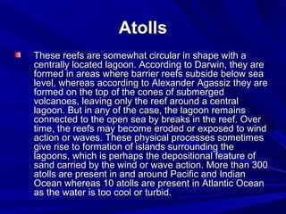 Coral reef | PPT