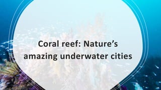 Coral reef: Nature’s
amazing underwater cities
 
