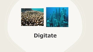 Digitate
 