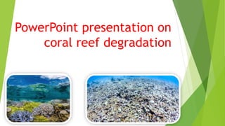 PowerPoint presentation on
coral reef degradation
 