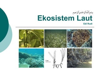 Ekosistem Laut
           Edi Rudi
 