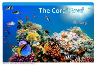 http://www.desktopwallpapers4.me/animals/ocean-reef-17627
 