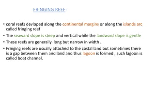 FRINGING REEF:
• coral reefs devloped along the continental margins or along the islands arc
called fringing reef
• The seaward slope is steep and vertical while the landward slope is gentle
• These reefs are generally long but narrow in width .
• Fringing reefs are usually attached to the costal land but sometimes there
is a gap between them and land and thus lagoon is formed , such lagoon is
called boat channel.
 