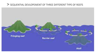 > SEQUENTIAL DEVLOPEMENT OF THREE DIFFERENT TYPE OF REEFS
 