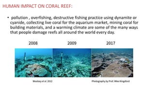 HUMAN IMPACT ON CORAL REEF:
• pollution , overfishing, destructive fishing practice using dynamite or
cyanide, collecting live coral for the aquarium market, mining coral for
building materials, and a warming climate are some of the many ways
that people damage reefs all around the world every day.
 