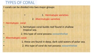 TYPES OF CORAL
• corals can be divided into two major groups:
•
• 1. Hermatypic varieties
2. Ahermatypic varieties
• Hermatypic coral:
• 1. hermatypic coral builds reef found in shallow
tropical sea.
• 2. this type of coral possess zooxanthellae
• Ahermatypic coral:
• 1. these are found in deep, dark cold waters of polar sea.
• 2. this type of coral do not possess zooxanthellae
 