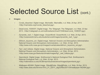Selected Source List (cont.)
 Images:
 Corals_bleached. Digital image. MarineBio. MarineBio, n.d. Web. 24 Apr. 2013.
<http://marinebio.org/i/corals_bleached.jpg>.
 Dead-coral_1538357i. Digital image. The Telegraph. The Telegraph, n.d. Web. 23 Apr.
2013. <http://i.telegraph.co.uk/multimedia/archive/01538/dead-coral_1538357i.jpg>.
 Dynamite_reef_1. Digital image. OceanWorld. OceanWorld, n.d. Web. 24 Apr. 2013.
<http://oceanworld.tamu.edu/students/coral/images/dynamite_reef_1.jpg>.
 Elkhorn_keysnms_sm. Digital image. National Oceanic and Atmospheric Administration.
National Oceanic and Atmospheric Administration, n.d. Web. 23 Apr. 2013.
<http://www.nmfs.noaa.gov/pr/images/invertebrates/elkhorn_keysnms_sm.jpg>.
 Fig1_reef_fullsize. Digital image. National Oceanic and Atmospheric Administration.
National Oceanic and Atmospheric Administration, n.d. Web. 24 Apr. 2013.
<http://www.noaa.gov/features/climate/images/fig1_reef_fullsize.jpg>.
 Spermbank. Digital image. Smithsonian's National Zoological Park. Smithsonian's
National Zoological Park, n.d. Web. 22 Apr. 2013.
<http://nationalzoo.si.edu/SCBI/reproductivescience/images/spermbank.jpg>.
 Wallpaper-462484. Digital image. Sites@Duke. Sites@Duke, n.d. Web. 24 Apr. 2013.
<http://sites.duke.edu/environ181s_01_s2011_alg22/files/2011/04/wallpaper-462484.jpg>.
 
