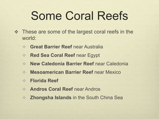 Some Coral Reefs
 These are some of the largest coral reefs in the
world:
 Great Barrier Reef near Australia
 Red Sea Coral Reef near Egypt
 New Caledonia Barrier Reef near Caledonia
 Mesoamerican Barrier Reef near Mexico
 Florida Reef
 Andros Coral Reef near Andros
 Zhongsha Islands in the South China Sea
 