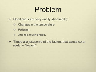 Problem
 Coral reefs are very easily stressed by:
 Changes in the temperature
 Pollution
 And too much shade.
 These are just some of the factors that cause coral
reefs to “bleach”.
 