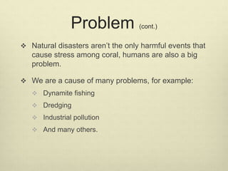 Problem (cont.)
 Natural disasters aren’t the only harmful events that
cause stress among coral, humans are also a big
problem.
 We are a cause of many problems, for example:
 Dynamite fishing
 Dredging
 Industrial pollution
 And many others.
 