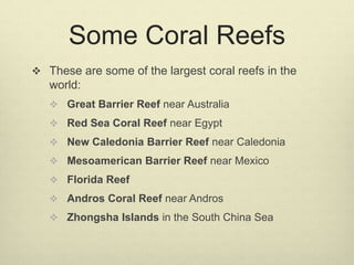 Some Coral Reefs
 These are some of the largest coral reefs in the
world:
 Great Barrier Reef near Australia
 Red Sea C...