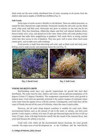5 | College of Fisheries, (JAU), Veraval
Hard corals are the most widely distributed form of coral, occurring in all oceans from the
shallow tidal zone to depths of 20,000 feet (6,000m) (Fig. 2).
Soft Corals
Some types of corals secrete a flexible or soft skeleton. These are called octocorals, so
named for their characteristic eight tentacles. Octocorals include the soft coral, sea fan, black
coral, whip coral, and blue coral. Octocorals also grow in colonies on the reef, but do not
build reefs. They have branching, ribbon-like shapes and their soft internal skeleton allows
them to bend, wave, sway, and spread out in the water. Some of the soft corals produce toxic
compounds that make them unappetizing to predators. Soft corals thrive in strong currents
where they have access to lots of plankton. They also grow well in areas where hard corals
cannot grow, such as dark caves and overhangs.
Coral jewelry is made from harvesting soft coral, such as black coral and whip coral.
Killing coral to make jewelry and ornaments harms the reef (Fig. 3).
Fig. 2. Hard Coral Fig. 3. Soft Coral
WHERE DO REEFS GROW
Reef-building corals have very specific requirements for growth that limit their
distribution. The water must be clear, shallow and warm, with an optimum temperature of 24
degrees Celsius (75 degrees Farenheit). This temperature requirement limits coral growth to
tropical areas. Coral reefs are generally restricted to the eastern margins of continents where
warm water from the equator arrives with the currents. Consequently, coral reefs form off the
coast of Florida, but not off the coast of California, where the water is much colder.
However, not all water along tropical coastlines is suitable for coral reefs. Other
environmental factors, such as the amount of salt in the water, or salinity, can limit coral
growth. Corals require a salinity of at least 25 parts per thousand (ppt) and do best in full sea
water (35 ppt). Areas with high freshwater runoff, like the mouth of the Amazon River, lack
coral reefs because the salinity is too low.
Coral reefs exist where all the environmental factors necessary for coral growth
coincide. The major areas of reef development are in the Caribbean and the Indo-Pacific
 