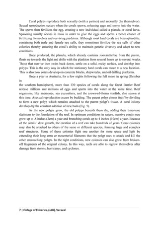 7 | College of Fisheries, (JAU), Veraval
Coral polyps reproduce both sexually (with a partner) and asexually (by themselves).
Sexual reproduction occurs when the corals spawn, releasing eggs and sperm into the water.
The sperm then fertilizes the egg, creating a new individual called a planula or coral larva.
Spawning usually occurs in mass in order to give the eggs and sperm a better chance of
fertilizing themselves and surviving predators. Although most hard corals are hermaphroditic,
containing both male and female sex cells, they sometimes fertilize the sex cells of other
colonies thereby ensuring the coral’s ability to maintain genetic diversity and adapt to new
conditions.
Once produced, the planula, which already contains zooxanthellae from the parent,
floats up towards the light and drifts with the plankton from several hours up to several weeks.
Those that survive then swim back down, settle on a solid, rocky surface, and develop into
polyps. This is the only way in which the stationary hard corals can move to a new location.
This is also how corals develop on concrete blocks, shipwrecks, and oil drilling platforms.
Once a year in Australia, for a few nights following the full moon in spring (October
in
the southern hemisphere), more than 130 species of corals along the Great Barrier Reef
release millions and millions of eggs and sperm into the water at the same time. Reef
organisms, like anemones, sea cucumbers, and the crown-of-thorns starfish, also spawn at
this time. Asexual reproduction occurs by budding. The parent polyp clones itself by dividing
to form a new polyp which remains attached to the parent polyp’s tissue. A coral colony
develops by the constant addition of new buds (Fig. 5).
As the new polyps grow, the old polyps beneath them die, adding their limestone
skeletons to the foundation of the reef. In optimum conditions in nature, massive corals may
grow up to .8 inches (2cm) a year and branching corals up to 4 inches (10cm) a year. Because
of the corals’ slow growth, the creation of a reef can take hundreds of years. Coral colonies
may also be attached to others of the same or different species, forming large and complex
reef structures. Some of these colonies fight one another for more space and light by
extending their long arms or mesenterial filaments that the polyp uses to attack and kill the
other encroaching polyps. In the right conditions, new colonies can also grow from broken-
off fragments of the original colony. In this way, reefs are able to regrow themselves after
damage from storms, hurricanes, and cyclones.
 