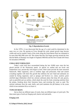 8 | College of Fisheries, (JAU), Veraval
Fig. 5. Reproduction of corals
In the 1970’s, it was discovered that the age of a coral could be determined in the
same way as a tree. By passing an X-ray through the coral, annual growth rings become
visible and can be counted. Some of the corals along the Great Barrier Reef are estimated to
be more than 800-1000 years old. This means that they first began growing around the time
that the Battle of Hastings was fought in England (1066AD) and the first Crusade left France
for Jerusalem (1096AD).
CORAL REEF FORMATION
Today’s coral reefs have accumulated during the last 10,000 years since the last
glacial periods of the Pleistocene epoch. As glacial ice melted and sea levels and
temperatures rose, present-day reefs began to form. Hard corals provide the main structural
framework. Other organisms, such as coralline algae and protozoans, bind and cement
everything together with sheet like growth that stabilizes the reef. Sand and sediments are
created by boring organisms, such as sponges and bivalves (i.e. clams, oysters); green
calcified algae (Halmedia) which has calcium carbonate plates that drop off; and, grazers,
such as parrotfish and sea urchins, which attack the coral for food, extracting nutrition from
the polyps, breaking down their limestone bases, and excreting the waste as sand. The
calcium carbonate from the sand, shells, and coral maintains the pH balance in the ocean
which in turn maintains life as we know it.
TYPES OF REEFS
Just as there are different types of corals, there are different types of coral reefs. The
three main types of reefs are fringing reefs, barrier reefs and atolls.
Fringing reefs
 