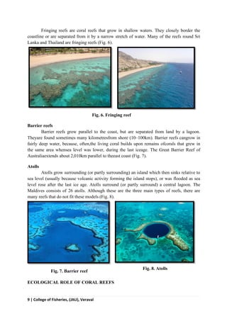 9 | College of Fisheries, (JAU), Veraval
Fringing reefs are coral reefs that grow in shallow waters. They closely border the
coastline or are separated from it by a narrow stretch of water. Many of the reefs round Sri
Lanka and Thailand are fringing reefs (Fig. 6).
Fig. 6. Fringing reef
Barrier reefs
Barrier reefs grow parallel to the coast, but are separated from land by a lagoon.
Theyare found sometimes many kilometresfrom shore (10–100km). Barrier reefs cangrow in
fairly deep water, because, often,the living coral builds upon remains ofcorals that grew in
the same area whensea level was lower, during the last iceage. The Great Barrier Reef of
Australiaextends about 2,010km parallel to theeast coast (Fig. 7).
Atolls
Atolls grow surrounding (or partly surrounding) an island which then sinks relative to
sea level (usually because volcanic activity forming the island stops), or was flooded as sea
level rose after the last ice age. Atolls surround (or partly surround) a central lagoon. The
Maldives consists of 26 atolls. Although these are the three main types of reefs, there are
many reefs that do not fit these models (Fig. 8).
Fig. 7. Barrier reef
Fig. 8. Atolls
ECOLOGICAL ROLE OF CORAL REEFS
 