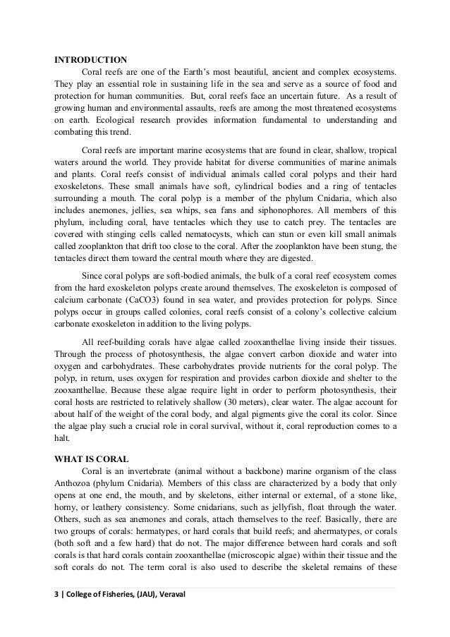 essay about color library in nepali