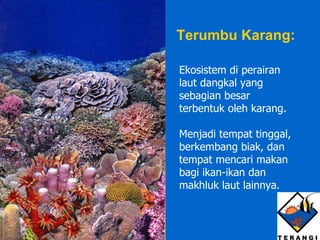 Ekosistem di perairan laut dangkal yang sebagian besar terbentuk oleh karang. Menjadi tempat tinggal, berkembang biak, dan tempat mencari makan bagi ikan-ikan dan makhluk laut lainnya. Terumbu Karang: 