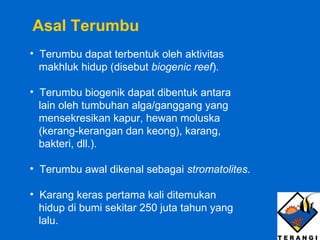 Terumbu dapat terbentuk oleh aktivitas  makhluk hidup (disebut  biogenic reef ). Terumbu biogenik dapat dibentuk antara  lain oleh tumbuhan alga/ganggang yang  mensekresikan kapur, hewan moluska  (kerang-kerangan dan keong), karang,  bakteri, dll.).  Terumbu awal dikenal sebagai  stromatolites. Karang keras pertama kali ditemukan  hidup di bumi sekitar 250 juta tahun yang  lalu. Asal Terumbu 