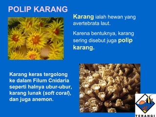 POLIP KARANG Karang   ialah hewan yang avertebrata laut.  Karena bentuknya, karang sering disebut juga  polip karang. Karang keras tergolong ke dalam Filum Cnidaria seperti halnya ubur-ubur, karang lunak ( soft coral ), dan juga anemon. 