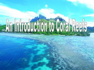 An Introduction to Coral Reefs 