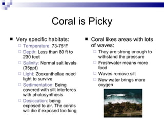 Coral is Picky Very specific habitats: Temperature:  73-75  F  Depth:  Less than 80 ft to 230 feet Salinity:  Normal salt levels (35ppt) Light:  Zooxanthellae need light to survive Sedimentation:  Being covered with silt interferes with photosynthesis Desiccation:  being exposed to air. The corals will die if exposed too long Coral likes areas with lots of waves: They are strong enough to withstand the pressure Freshwater means more food Waves remove silt New water brings more oxygen 