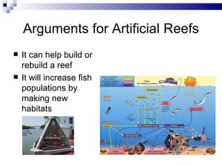 Arguments for Artificial Reefs It can help build or rebuild a reef It will increase fish populations by making new habitats 