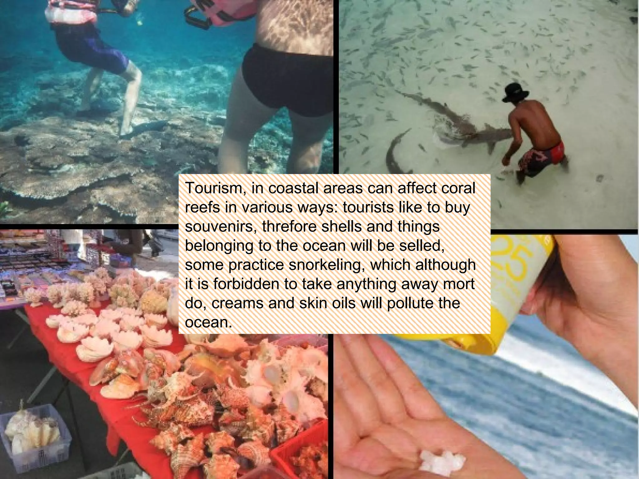 Tourism, in coastal areas can affect coral reefs in various ways: tourists like to buy souvenirs, threfore shells and things belonging to the ocean will be selled, some practice snorkeling, which although it is forbidden to take anything away mort do, creams and skin oils will pollute the ocean. 