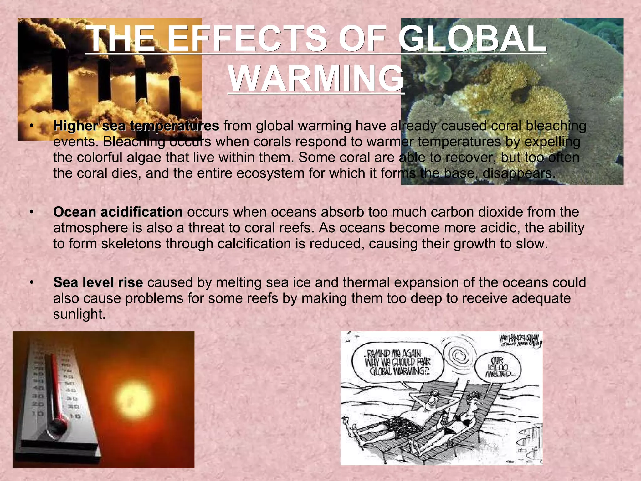 Higher sea temperatures  from global warming have already caused coral bleaching events. Bleaching occurs when corals respond to warmer temperatures by expelling the colorful algae that live within them. Some coral are able to recover, but too often the coral dies, and the entire ecosystem for which it forms the base, disappears. Ocean acidification  occurs when oceans absorb too much carbon dioxide from the atmosphere is also a threat to coral reefs. As oceans become more acidic, the ability to form skeletons through calcification is reduced, causing their growth to slow. Sea level rise  caused by melting sea ice and thermal expansion of the oceans could also cause problems for some reefs by making them too deep to receive adequate sunlight. THE EFFECTS OF GLOBAL WARMING 
