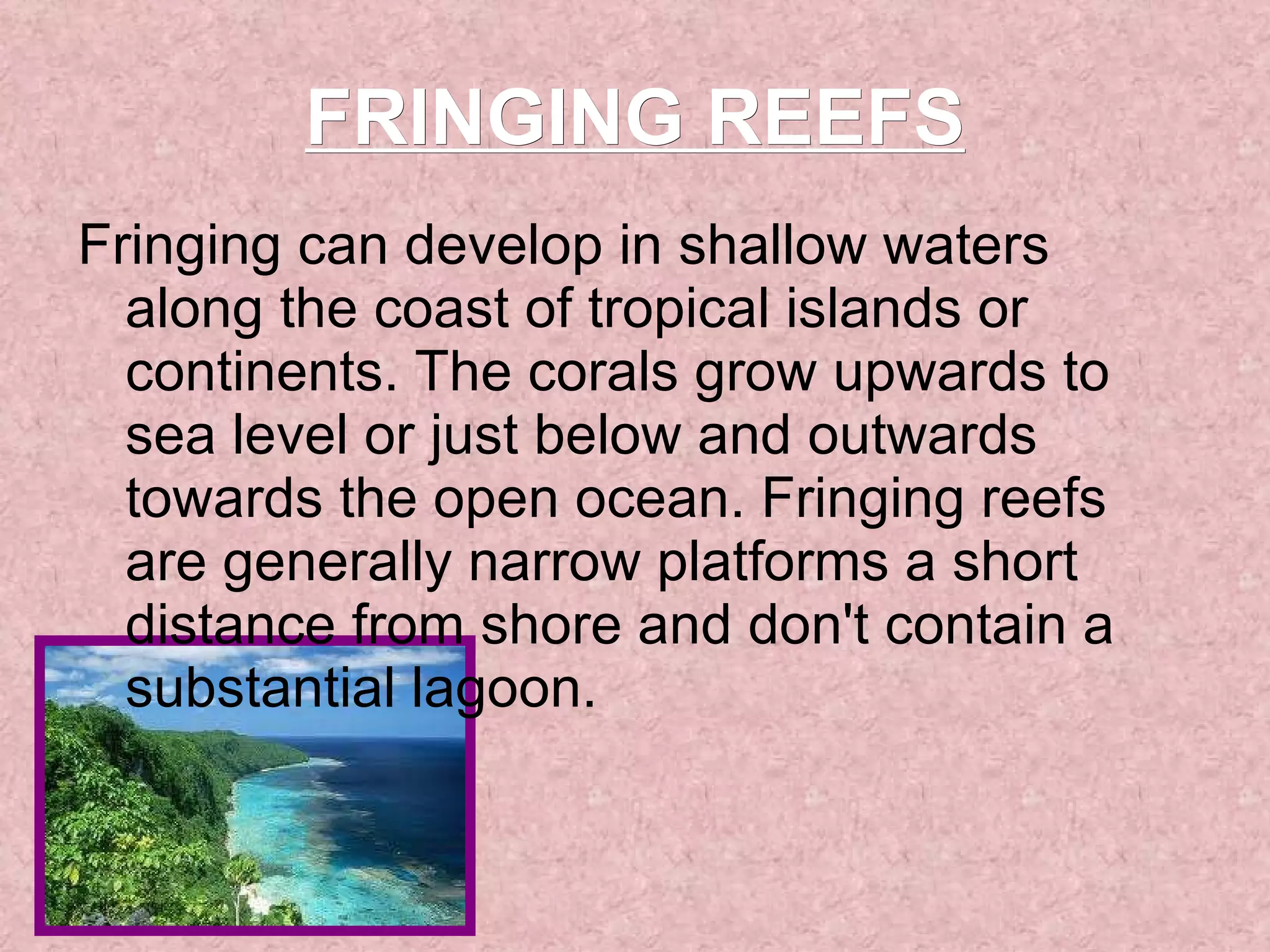 FRINGING REEFS Fringing can develop in shallow waters along the coast of tropical islands or continents. The corals grow upwards to sea level or just below and outwards towards the open ocean. Fringing reefs are generally narrow platforms a short distance from shore and don't contain a substantial lagoon. 