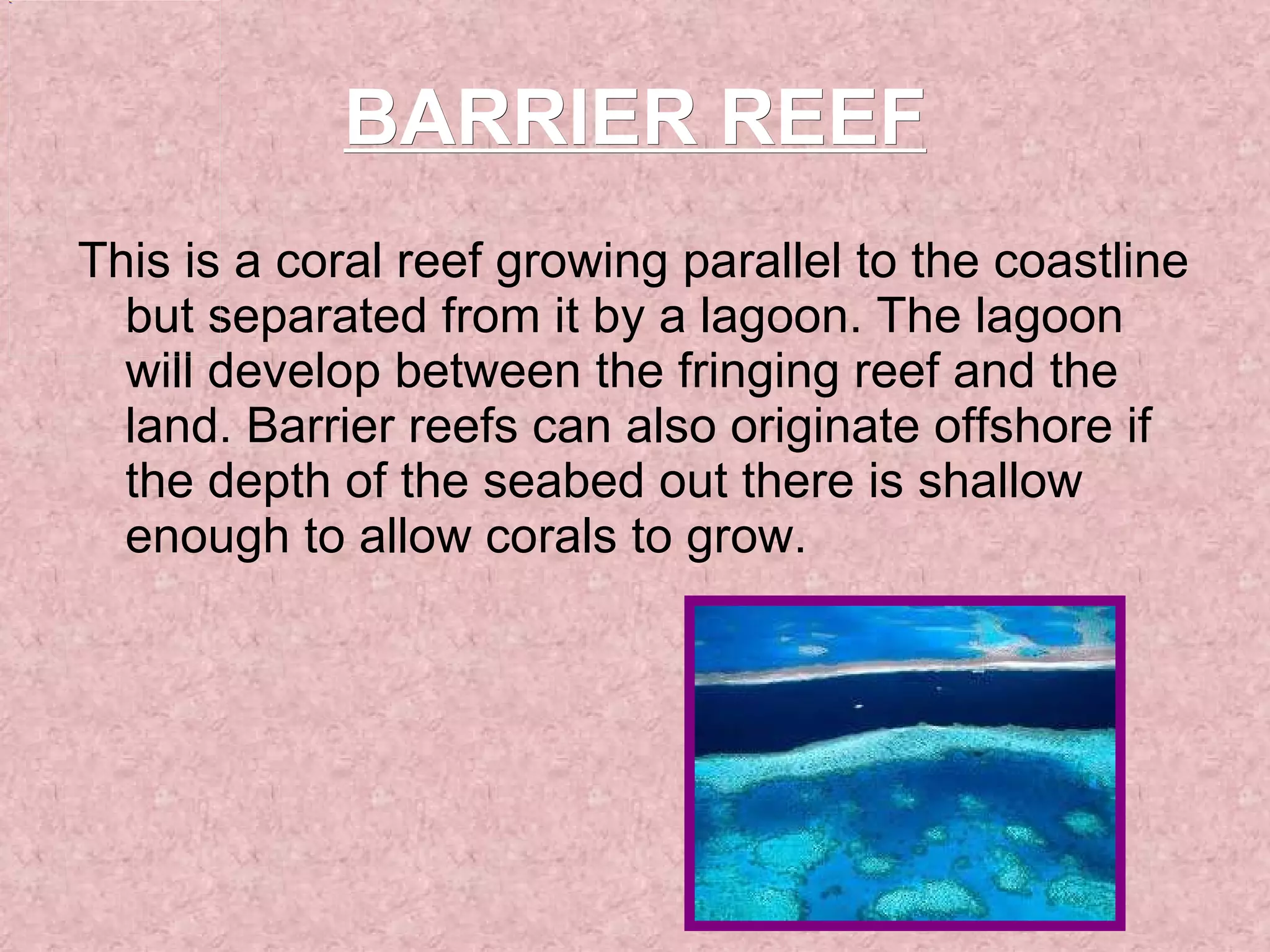 BARRIER REEF This is a coral reef growing parallel to the coastline but separated from it by a lagoon. The lagoon will develop between the fringing reef and the land. Barrier reefs can also originate offshore if the depth of the seabed out there is shallow enough to allow corals to grow. 