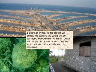 Building in or near to the ocenas will pollute the sea and the corals will be damaged. Peolpe who live in this houses will through all of their rubish to the sea which will also have an effect on the creatures 