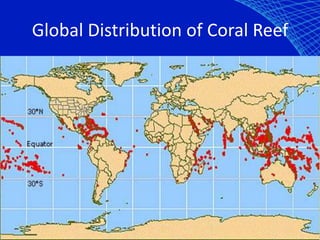 Global Distribution of Coral Reef
 