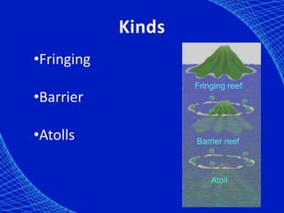 Kinds
•Fringing

•Barrier

•Atolls
 