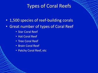 Types of Coral Reefs

• 1,500 species of reef-building corals
• Great number of types of Coral Reef
     •   Star Coral Reef
     •   Hat Coral Reef
     •   Tree Coral Reef
     •   Brain Coral Reef
     •   Patchy Coral Reef, etc
 