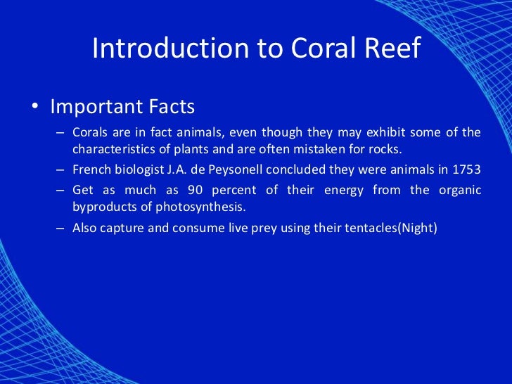 Coral Reef Presentation
