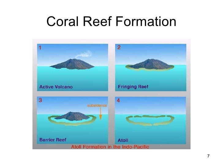 Coral Reefs