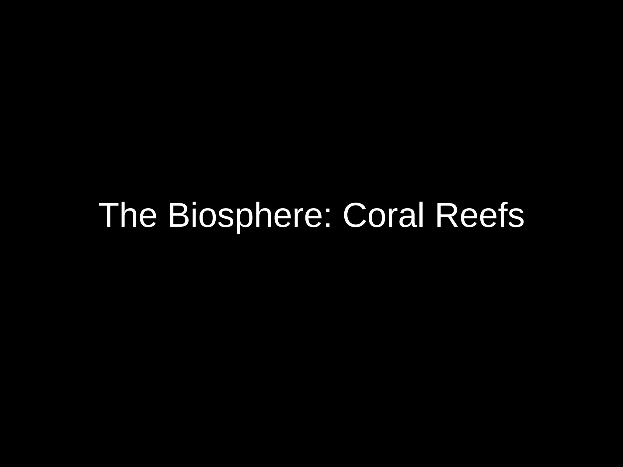 Coral Reef Onlyfans: Is It Sustainable? - ju9d588