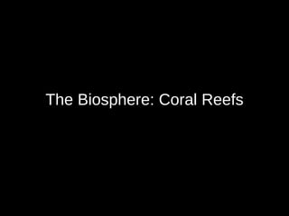 The Biosphere: Coral Reefs 