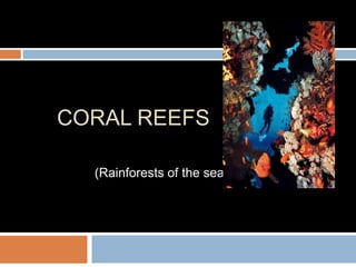 Coral reefs (Rainforests of the sea) 