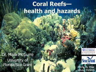 Coral Reefs—health and hazards Dr. Maia McGuire University of Florida/Sea Grant Photo by Mike White, FKNMS 