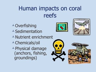 Human impacts on coral reefs Overfishing Sedimentation Nutrient enrichment Chemicals/oil Physical damage (anchors, fishing, groundings) 