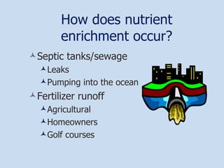 How does nutrient enrichment occur? Septic tanks/sewage Leaks Pumping into the ocean Fertilizer runoff Agricultural Homeowners Golf courses 