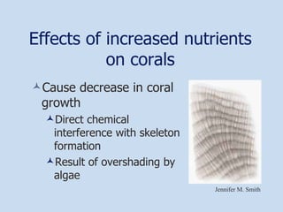 Cause decrease in coral growth Direct chemical interference with skeleton formation Result of overshading by algae Effects of increased nutrients on corals Jennifer M. Smith 