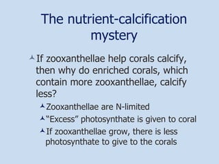 The nutrient-calcification mystery If zooxanthellae help corals calcify, then why do enriched corals, which contain more zooxanthellae, calcify less? Zooxanthellae are N-limited “ Excess” photosynthate is given to coral If zooxanthellae grow, there is less photosynthate to give to the corals 