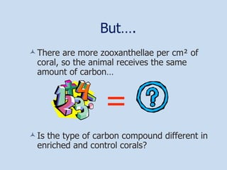But…. There are more zooxanthellae per cm² of coral, so the animal receives the same amount of carbon…   = Is the type of carbon compound different in enriched and control corals? 