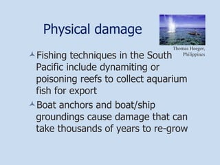 Physical damage Fishing techniques in the South Pacific include dynamiting or poisoning reefs to collect aquarium fish for export Boat anchors and boat/ship groundings cause damage that can take thousands of years to re-grow Thomas Heeger, Philippines 